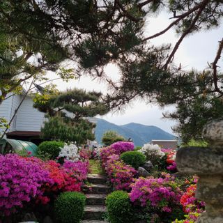 이종권님의 자유주제 · 자유게시판 작성글 사진