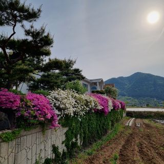 이종권님의 자유주제 · 자유게시판 작성글 사진