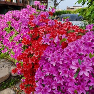 이종권님의 자유주제 · 자유게시판 작성글 사진