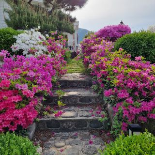 이종권님의 자유주제 · 자유게시판 작성글 사진