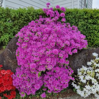 이종권님의 자유주제 · 자유게시판 작성글 사진