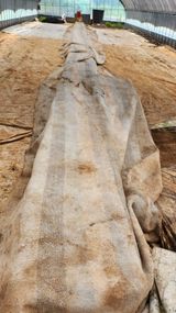 팜모닝 벼·영농일지 게시글 이미지