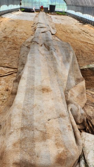 팜블리분매리농윈님의 벼 · 영농일지 작성글 사진