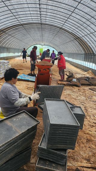 팜블리분매리농윈님의 벼 · 영농일지 작성글 사진