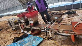 팜블리분매리농윈님의 벼 · 영농일지 작성글 사진