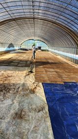 팜모닝 벼·영농일지 게시글 이미지