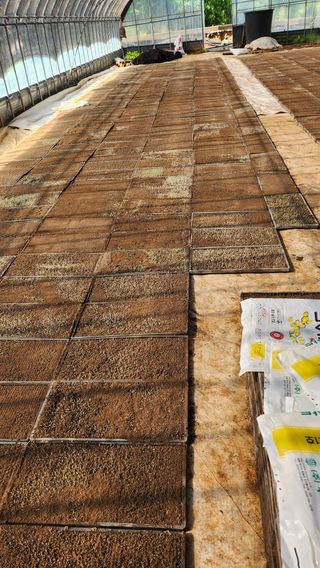 팜블리분매리농윈님의 벼 · 영농일지 작성글 사진