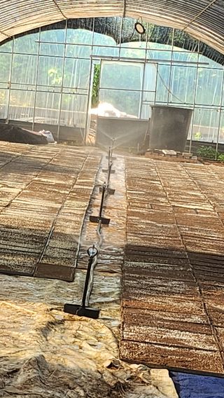 팜블리분매리농윈님의 벼 · 영농일지 작성글 사진