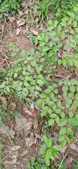 팜모닝 자유주제·자유게시판 게시글 이미지