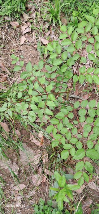 이현주(숲속의농원)님의 자유주제 · 자유게시판 작성글 사진