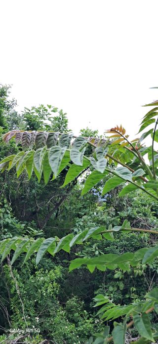 이현주(숲속의농원)님의 자유주제 · 자유게시판 작성글 사진
