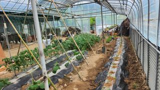 김희영님의 5월 내 작물 자랑하기 · 참여글 작성글 사진