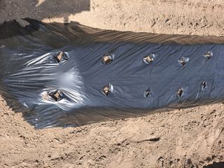 포도15386님의 자유주제 · 자유게시판 작성글 사진