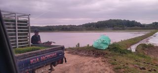 신승철님의 벼 · 영농일지 작성글 사진