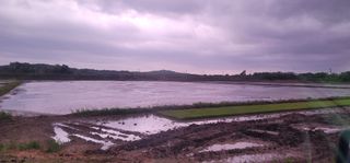 신승철님의 벼 · 영농일지 작성글 사진