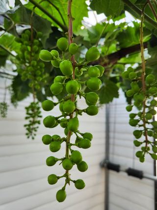 정재현님의 자유주제 · 자유게시판 작성글 사진