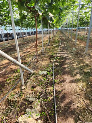 정재현님의 자유주제 · 자유게시판 작성글 사진