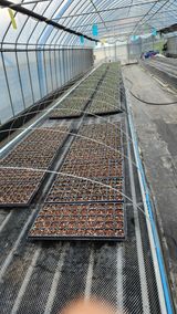 팜모닝 5월 내 작물 자랑하기·참여글 게시글 이미지