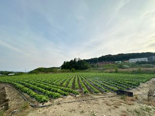 호저*윤정님의 기타작물 · 영농일지 작성글 사진