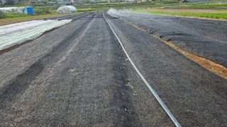 조병대님의 기타작물 · 자유게시판 작성글 사진