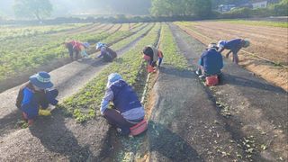 조병대님의 기타작물 · 자유게시판 작성글 사진