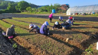 조병대님의 기타작물 · 자유게시판 작성글 사진