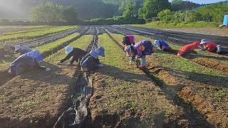 조병대님의 기타작물 · 자유게시판 작성글 사진