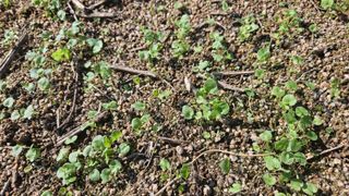 조병대님의 기타작물 · 자유게시판 작성글 사진