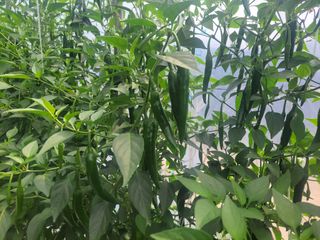 김승희님의 자유주제 · 자유게시판 작성글 사진