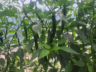 김승희님의 자유주제 · 자유게시판 작성글 사진