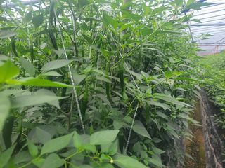 김승희님의 자유주제 · 자유게시판 작성글 사진