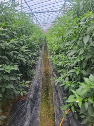 김승희님의 자유주제 · 자유게시판 작성글 사진