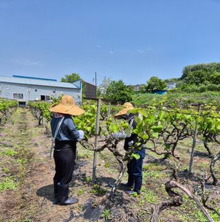 윤근순님의 자유주제 · 자유게시판 작성글 사진
