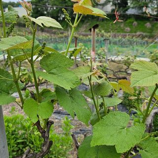 윤근순님의 자유주제 · 자유게시판 작성글 사진