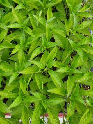 벼11175님의 자유주제 · 자유게시판 작성글 사진