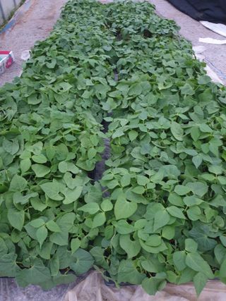 벼11175님의 자유주제 · 자유게시판 작성글 사진