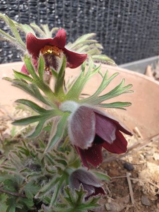 벼11175님의 자유주제 · 자유게시판 작성글 사진