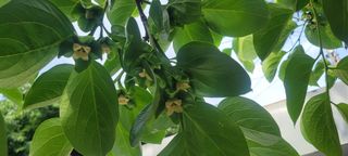 해균님의 5월 내 작물 자랑하기 · 참여글 작성글 사진