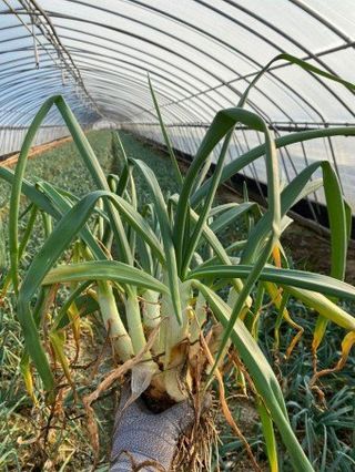 해풍님의 작성글 사진