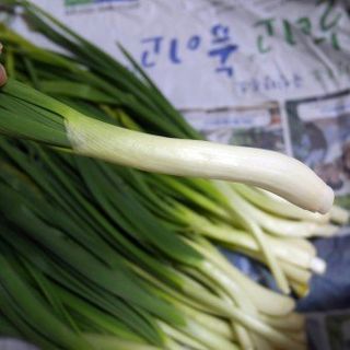 해풍님의 작성글 사진