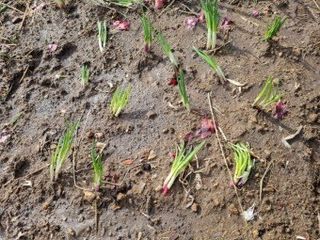 해풍님의 작성글 사진