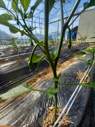 알 수 없음님의 자유주제 · 자유게시판 작성글 사진