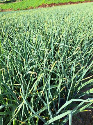 좋은인연원님의 자유주제 · 자유게시판 작성글 사진