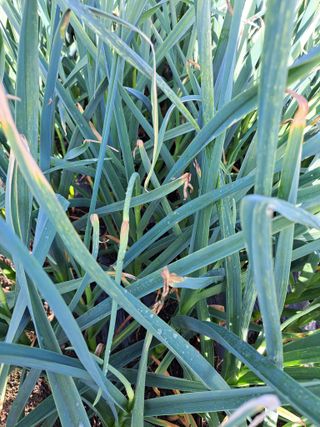 좋은인연원님의 자유주제 · 자유게시판 작성글 사진