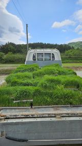 팜모닝 벼·영농일지 게시글 이미지