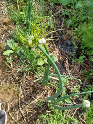 무료지식나눔 팜닥터님의 자유주제 · 자유게시판 작성글 사진