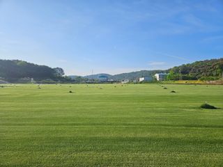 미성잔디조경님의 5월 내 작물 자랑하기 · 참여글 작성글 사진
