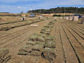미성잔디조경님의 기타작물 · 영농일지 작성글 사진