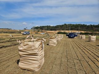 미성잔디조경님의 기타작물 · 영농일지 작성글 사진