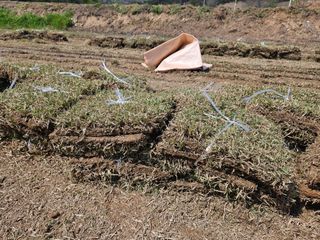 미성잔디조경님의 기타작물 · 영농일지 작성글 사진
